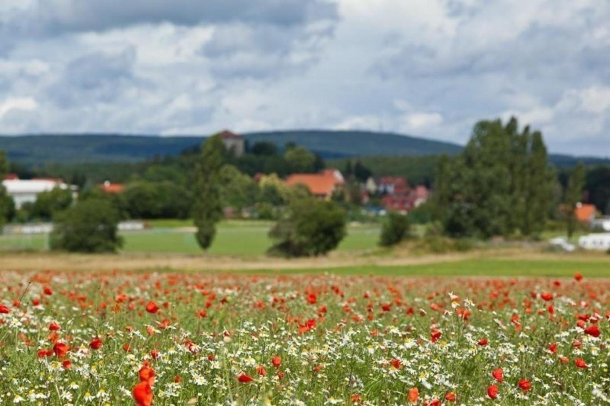 ハルツゲローデGaestezimmer In Kleiner Ferienanlage Mit Vielen Freizeitmoeglichkeitenアパートメント エクステリア 写真